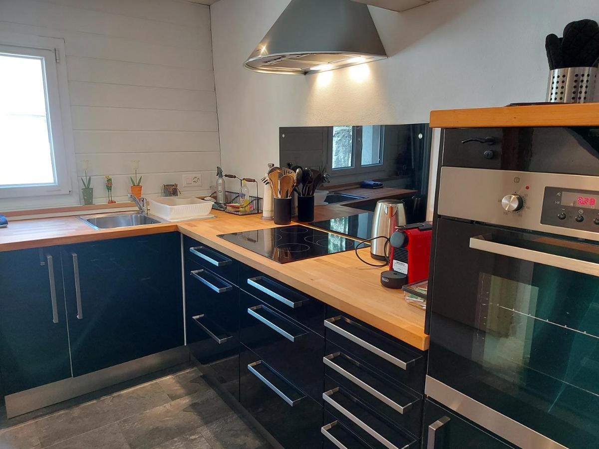 Appartement Voute En Gruyere Dans L'Intyamon Enney Exterior foto